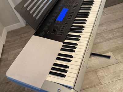 Casio WK-220 Electronic Keyboard 76-Key Digital Piano with Stand & AC Adapter,