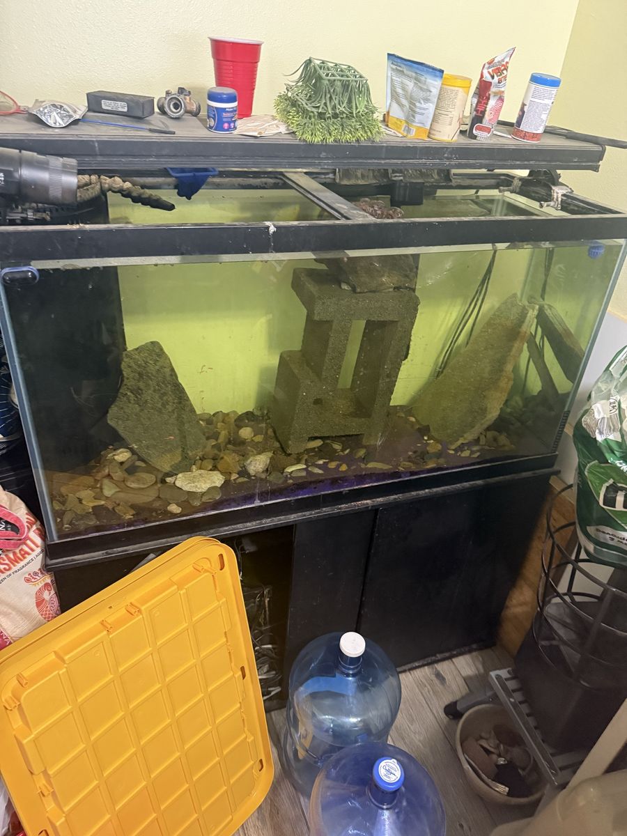 90g fish tank with 15 gallons sump