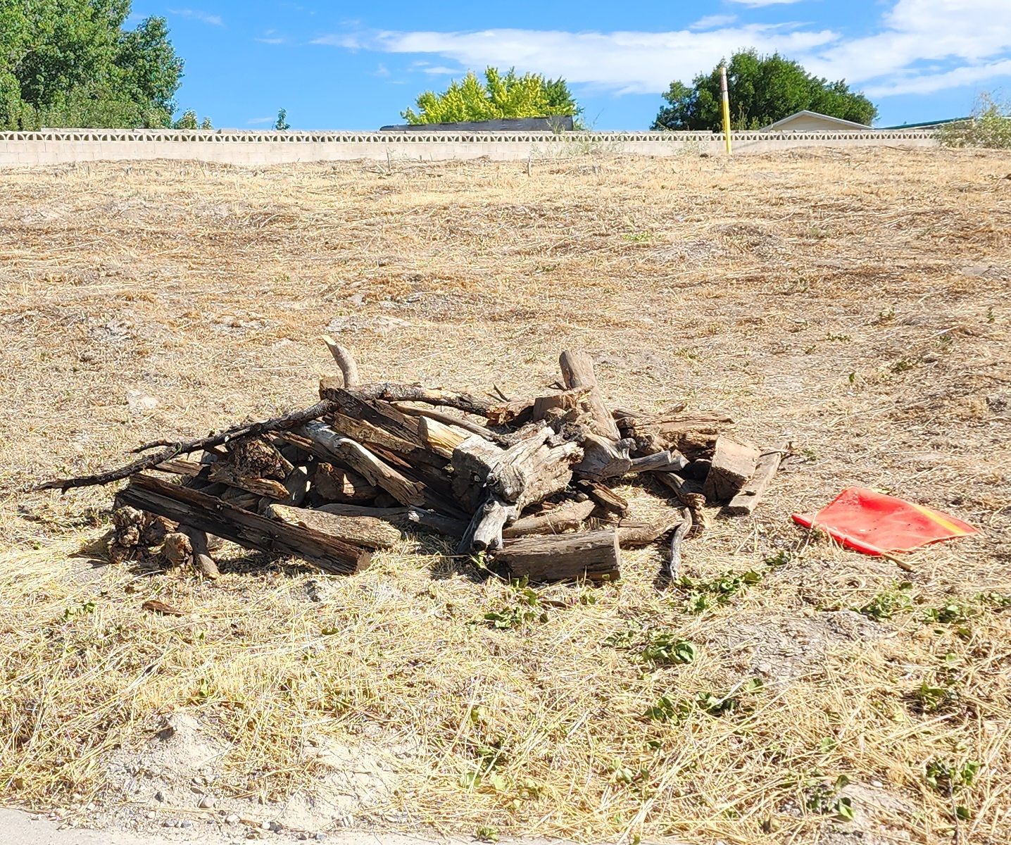 Firewood, Kindling, and Landscaping Wood - Mixed Wood Pieces for Burning or Decor