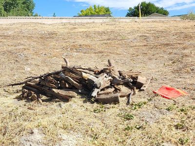 Firewood, Kindling, and Landscaping Wood - Mixed Wood Pieces for Burning or Decor