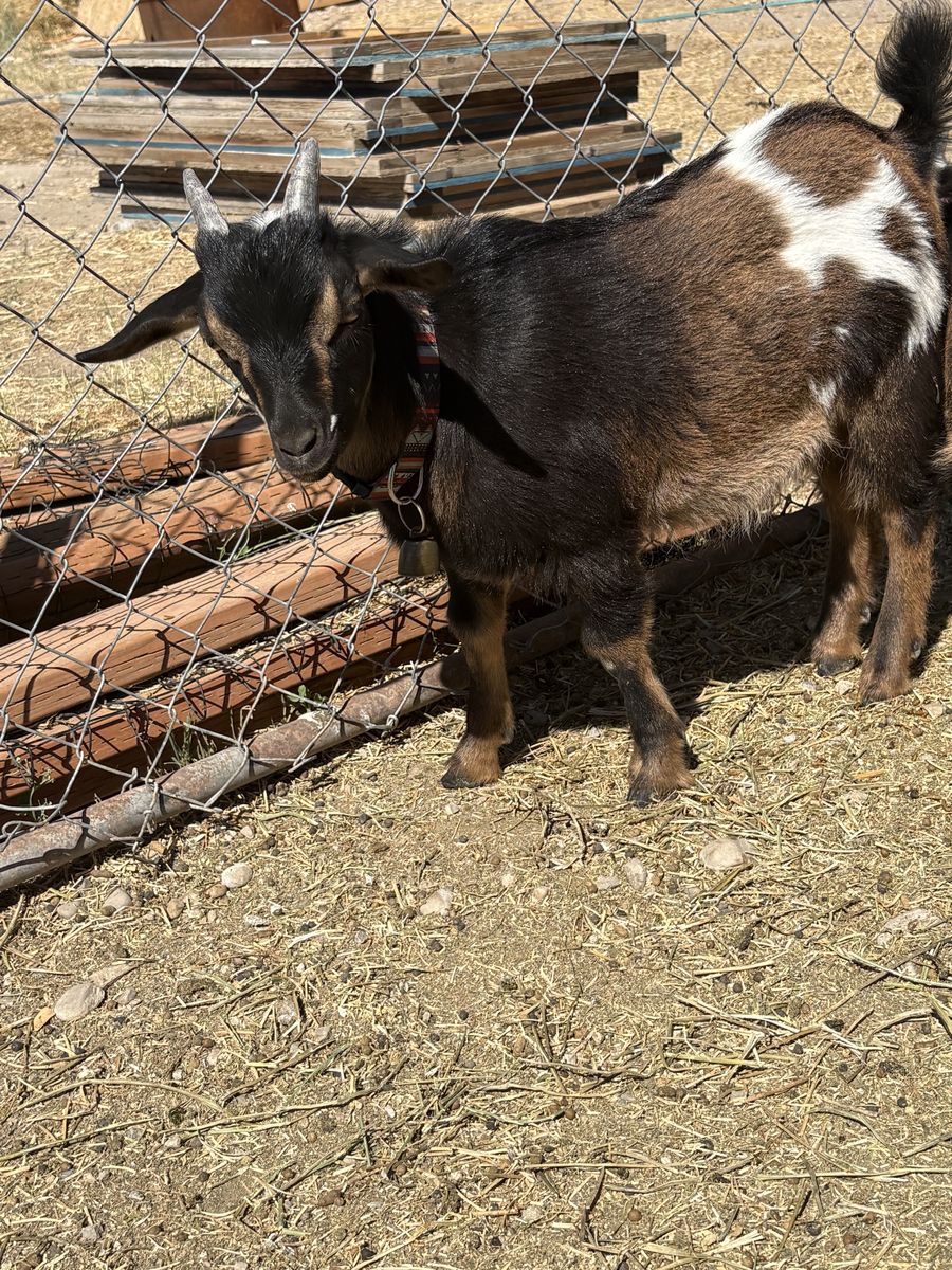 Main image 2