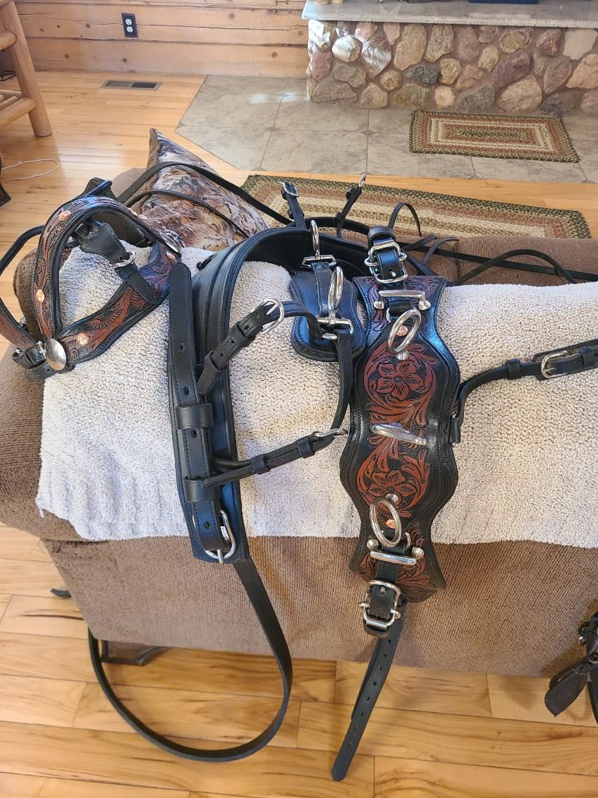 Pony Harness & Bridal