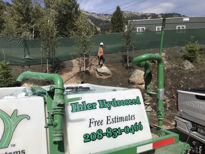 Looking for Sod? Try Hydroseed Today
