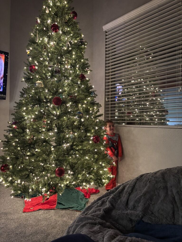 10 Ft Pre Lit Christmas Tree