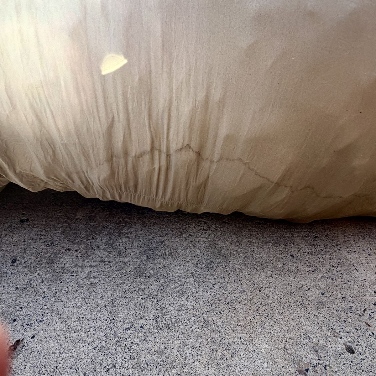 Main image 6