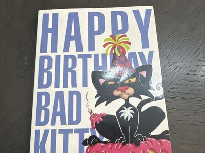 Happy Birthday, Bad Kitty by Nick Bruel - Children's Fiction Book