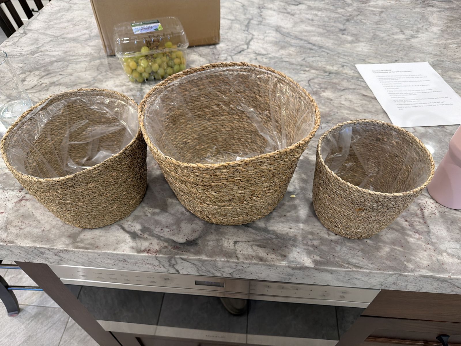 Set of 3 Woven Seagrass Plant Baskets/Planters with Plastic Liners, Natural Boho Decor