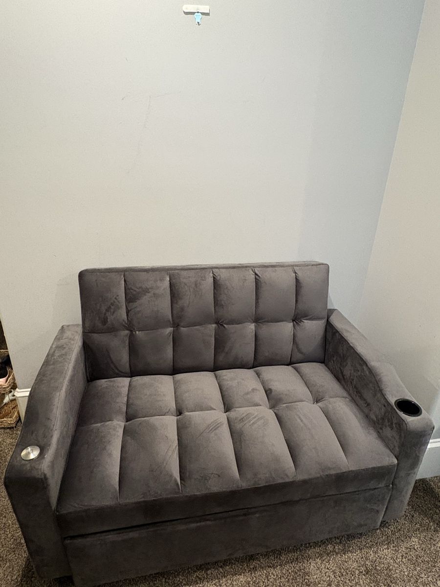 Williams pull out sleeper sofa