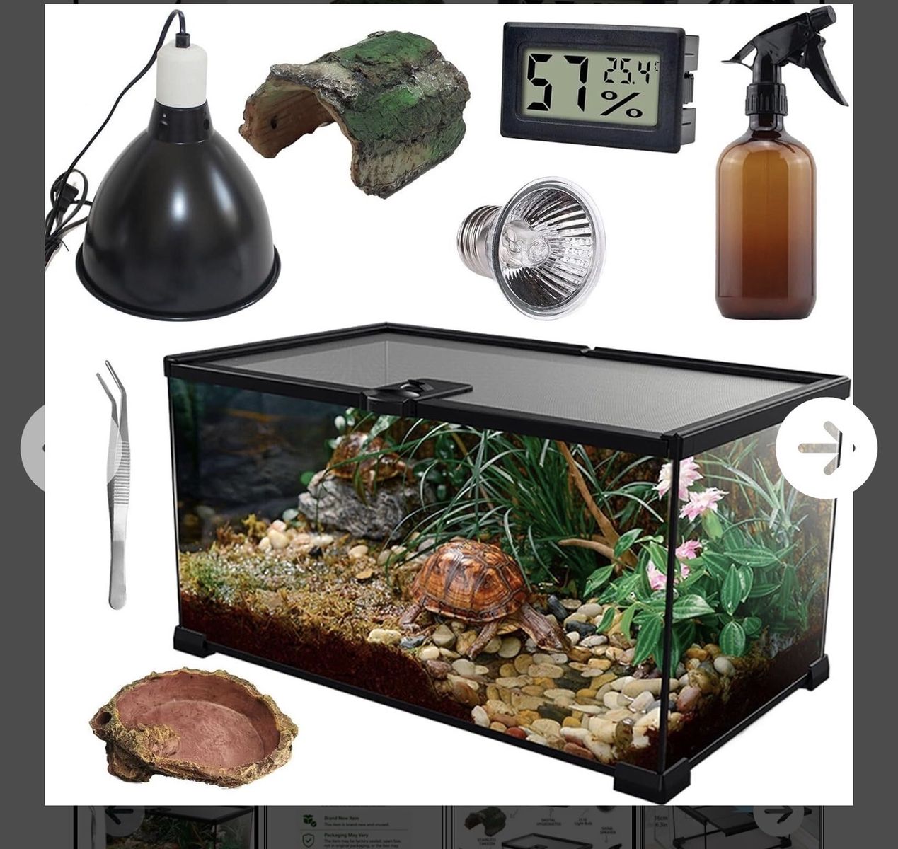 8 PCS Reptile Starter Kit: 10-Gallon Terrarium Tank, Lampshade, 25W Bulb, Decor, Hygrometer & Tools
