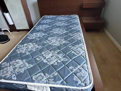 IKEA MALM Twin Bed Frame + Mattress + Side Drawer — $100