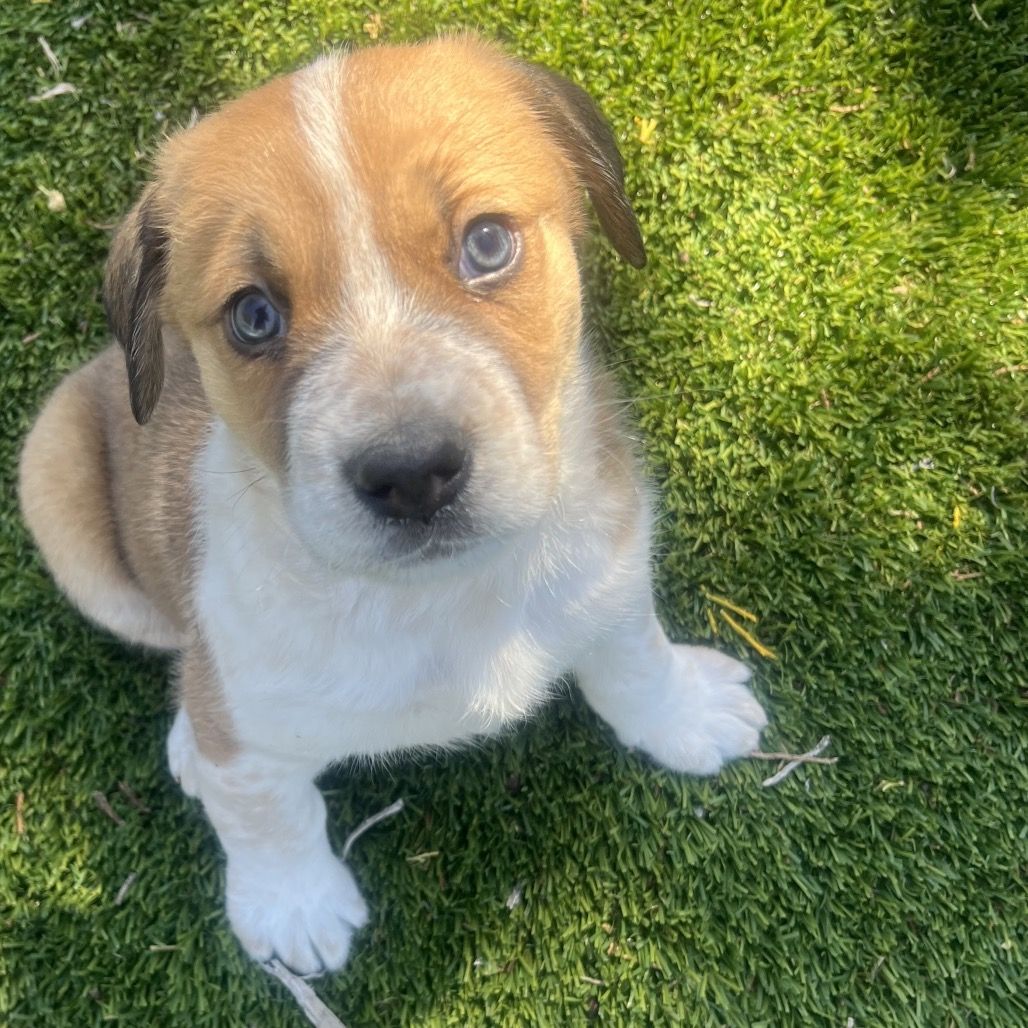 Hello my name is Lomond