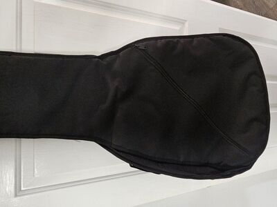 padded acoustic guitar case