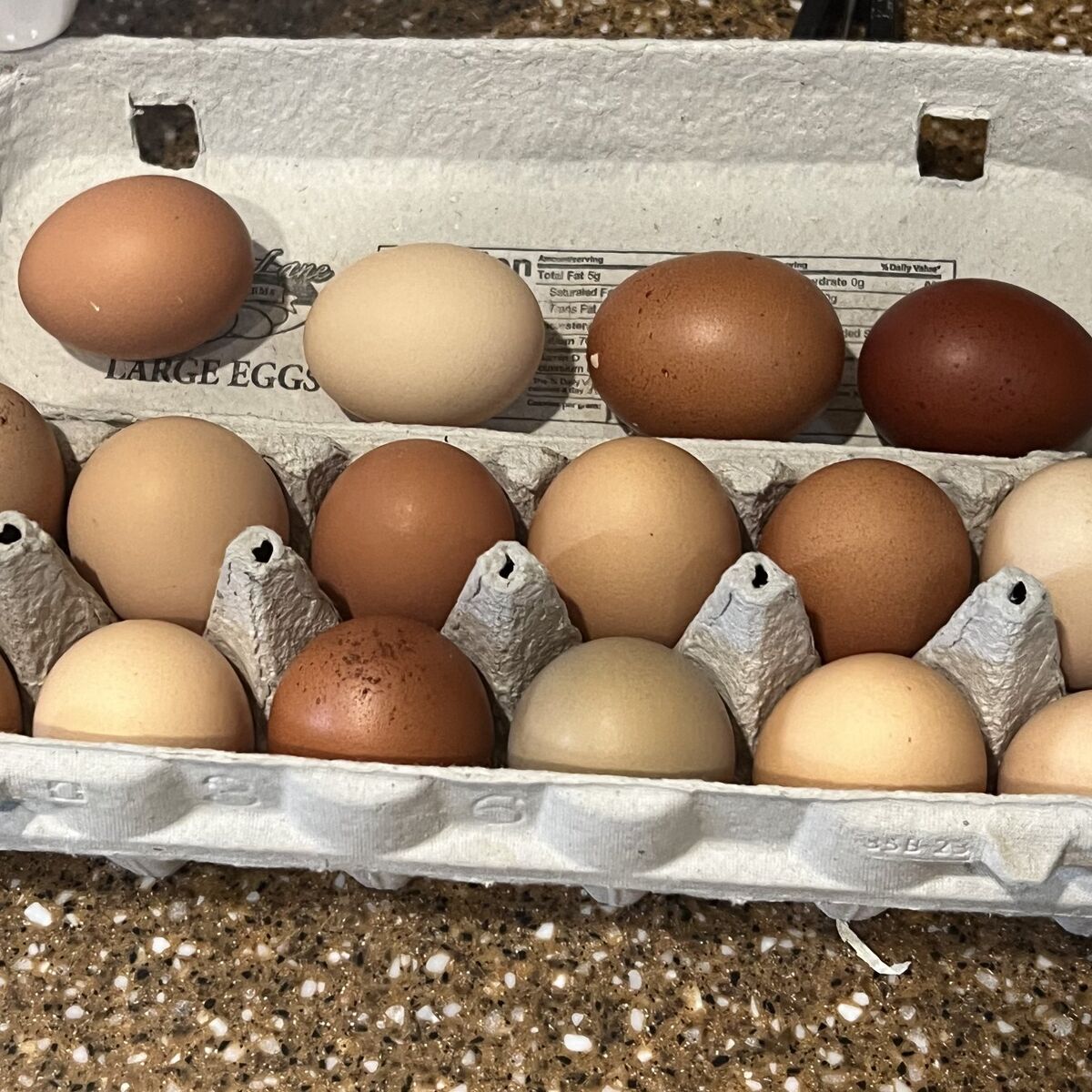 fresh chicken eggs