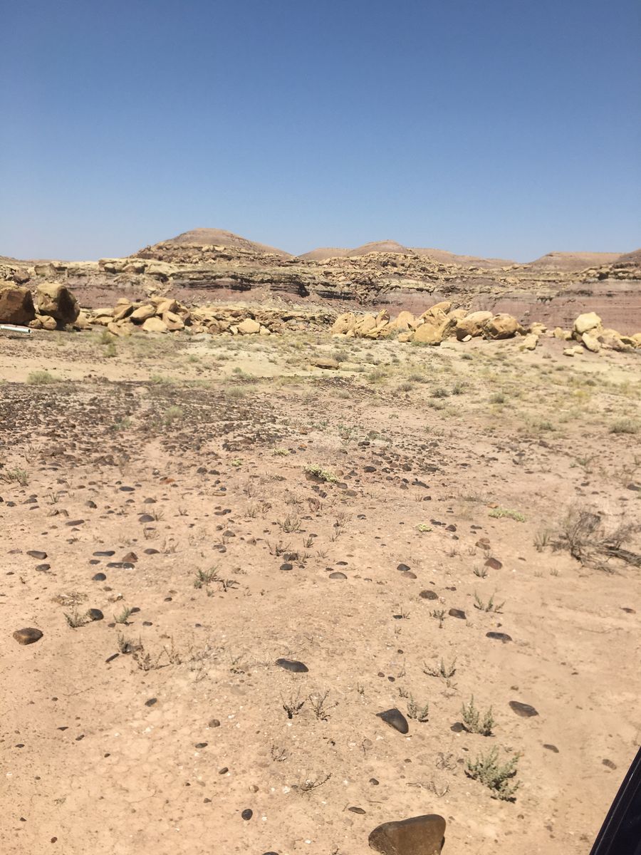 Main image 12