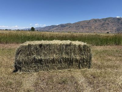 Grass Hay 3x3 ~925lbs