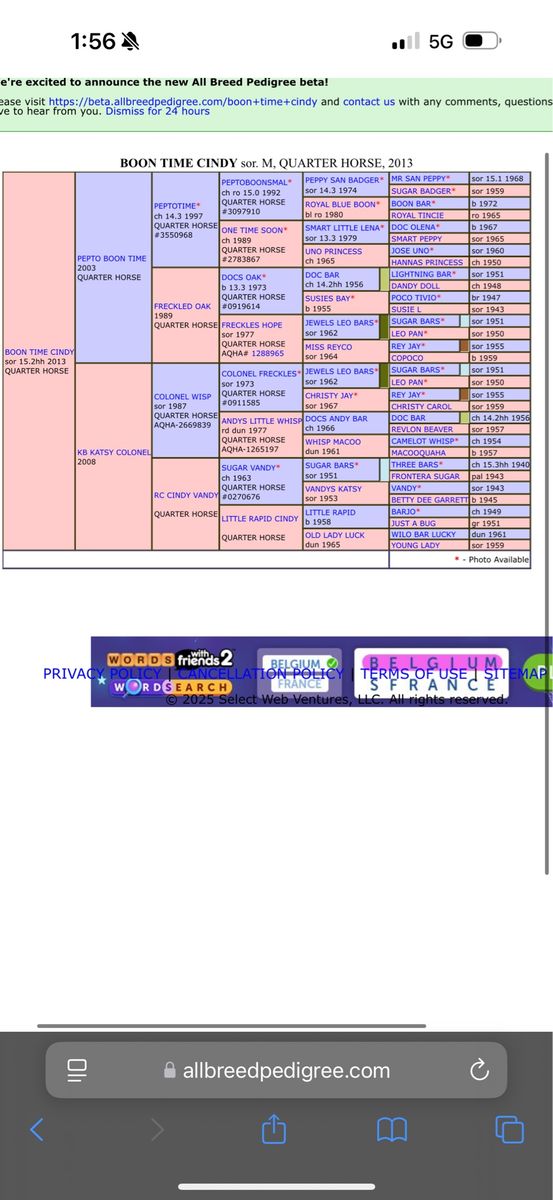Main image 3