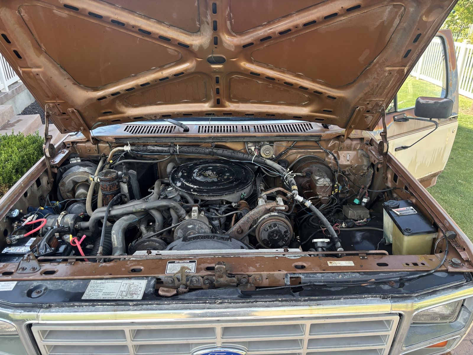 Main image 6