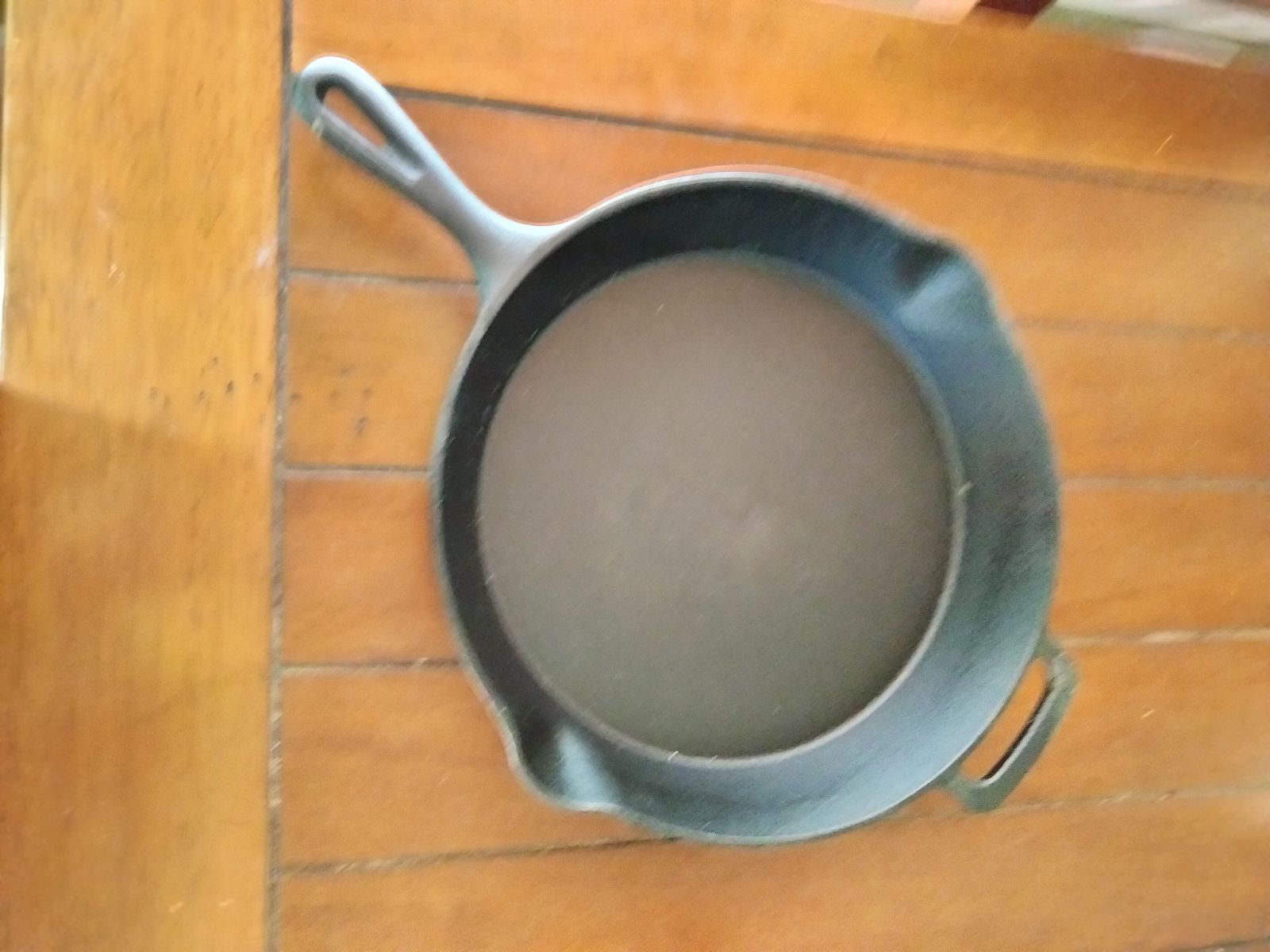 LODGE CAST IRON SKILLET