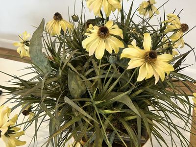 Wildflower Arrangement