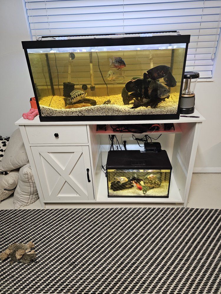 fish tanks