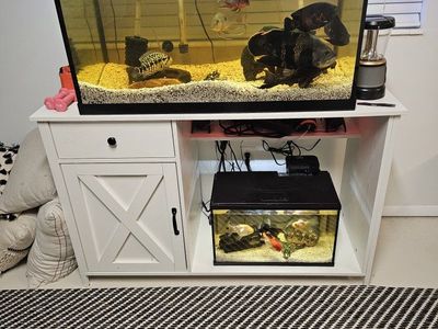 fish tanks