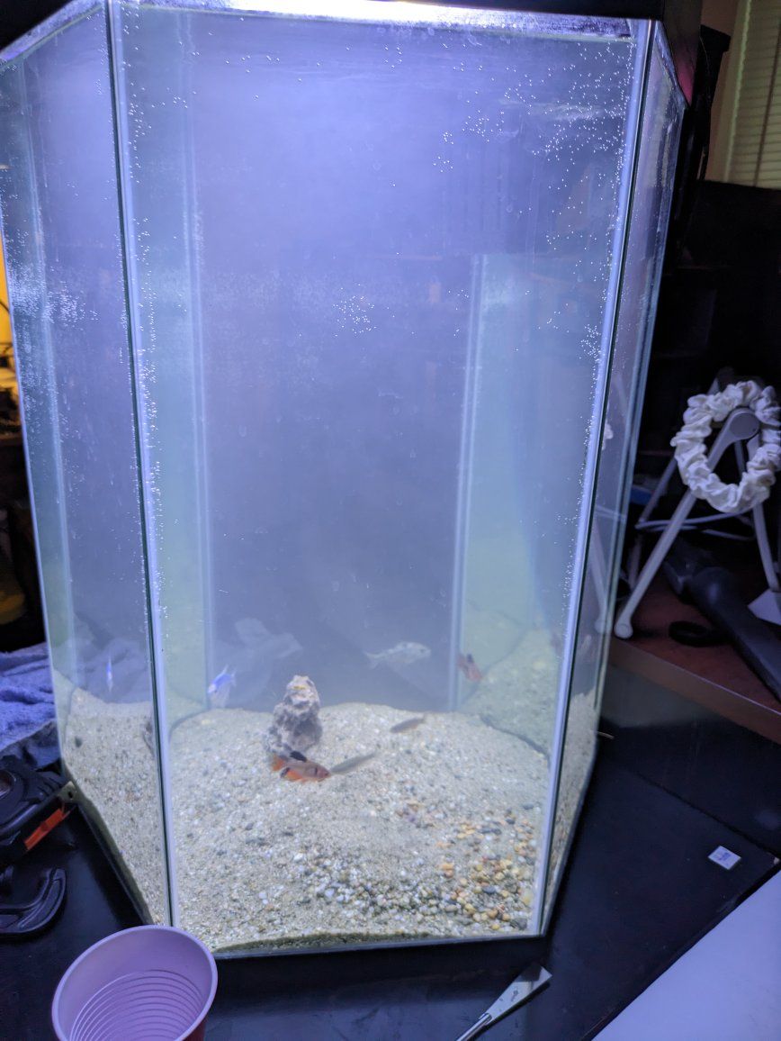 20 Gallon Aquarium
