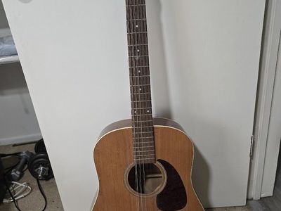 Seagull Coastline S12 Cedar 12 string Guitar