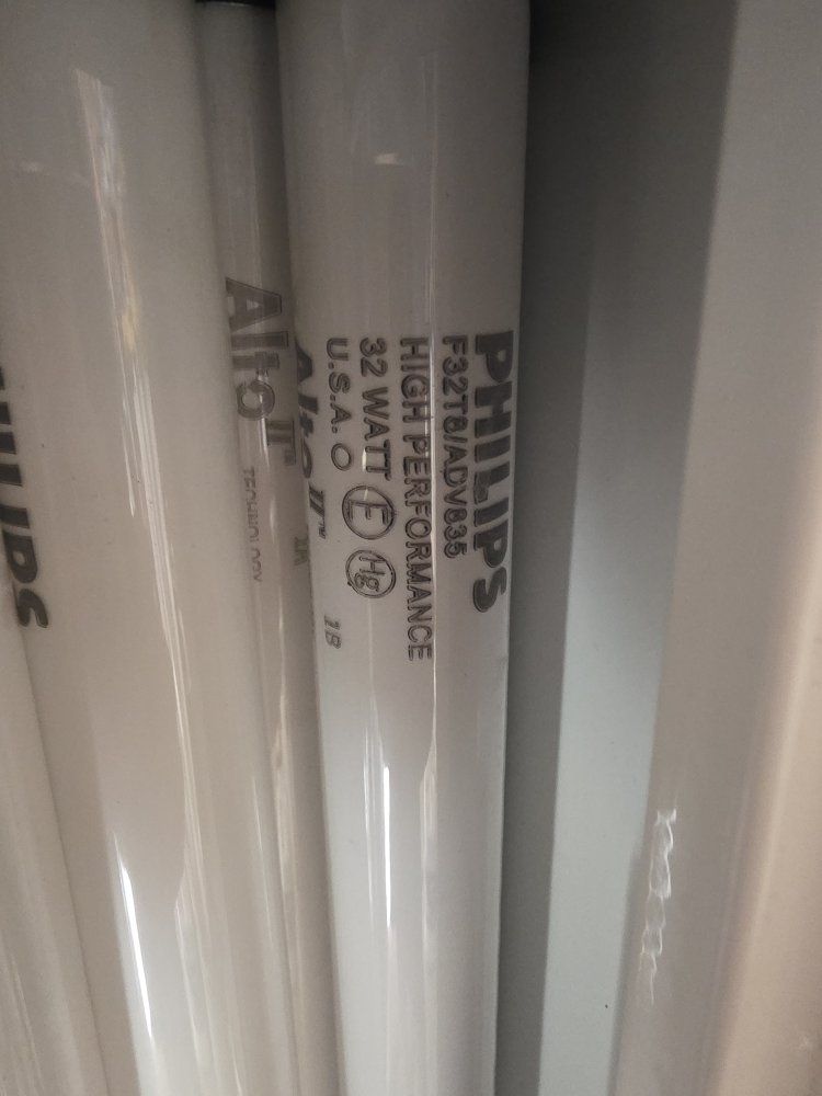 Philips F34T12/CW/RS/EW & F32T8/ADV835 Fluorescent Light Bulbs - 34W & 32W - Mixed Lot