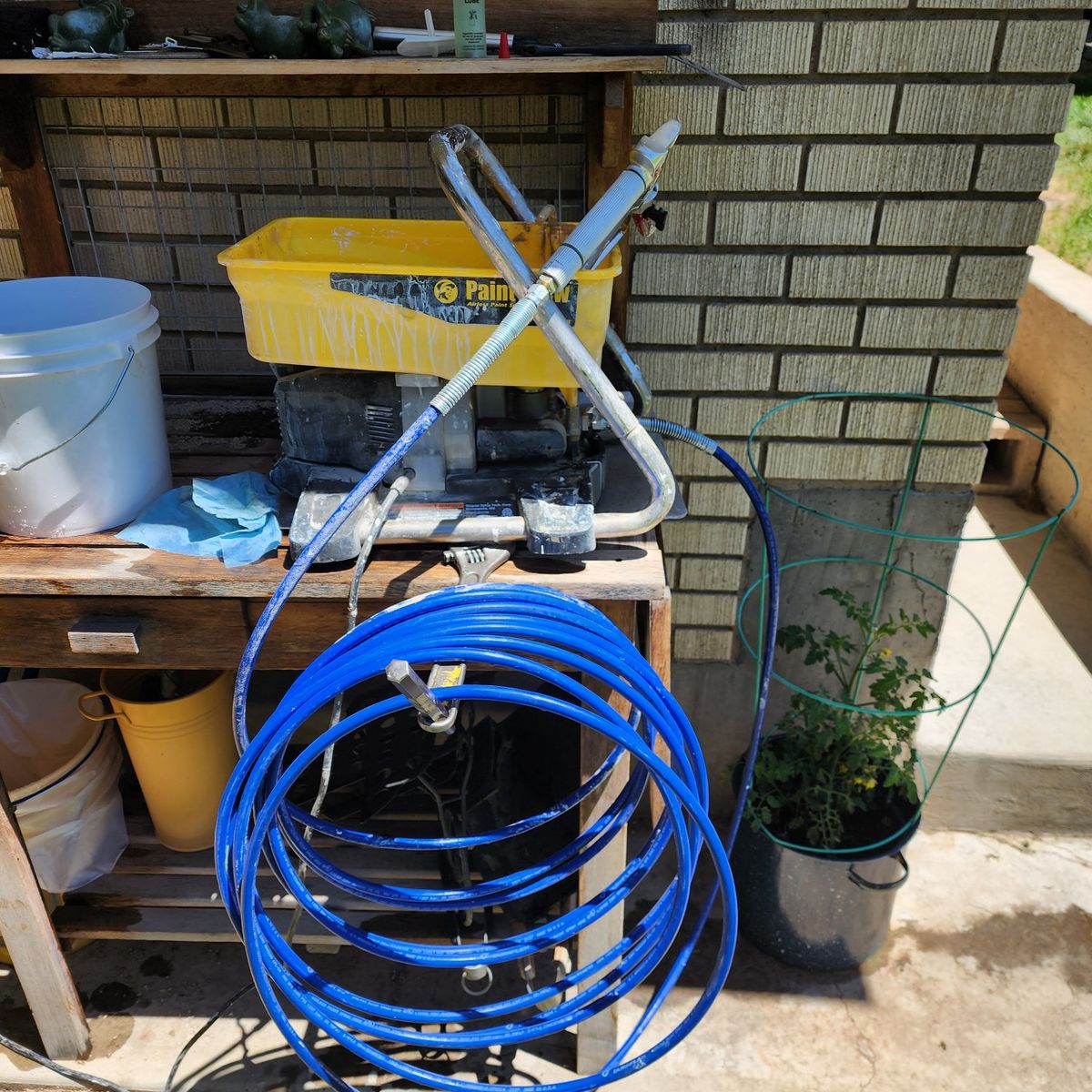 Main image 6