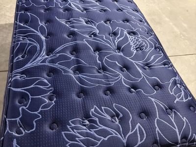 Sealy twin mattress