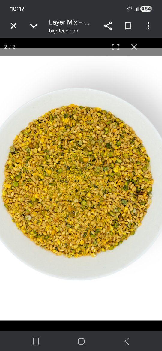 22% layer chicken feed