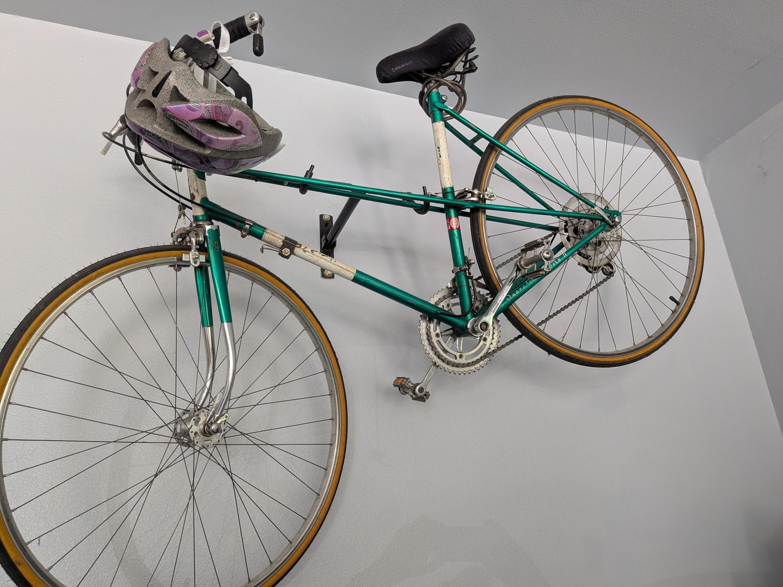 Raleigh Women's 10 speed bike
