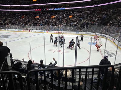 FRIDAY 5/1, 2nd Row vs Las Vegas Golden Knights - AWESOME VIEW, sit right behind Ryan and his Guests