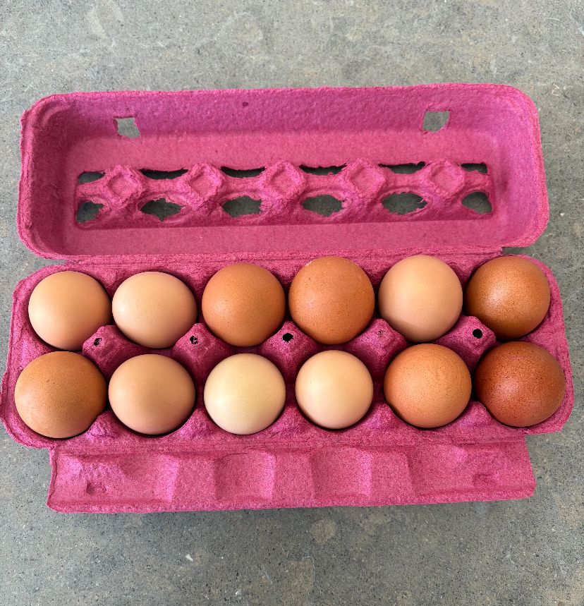 Fresh Free-Range Eggs (Delivered)