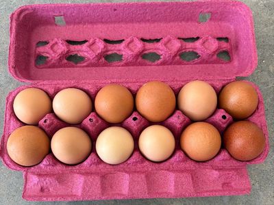 Fresh Free-Range Eggs (Delivered)