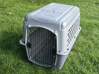 36" Large Petmate Plastic Dog Kennel Pet Cage Crate Travel Gray Airline Friendly