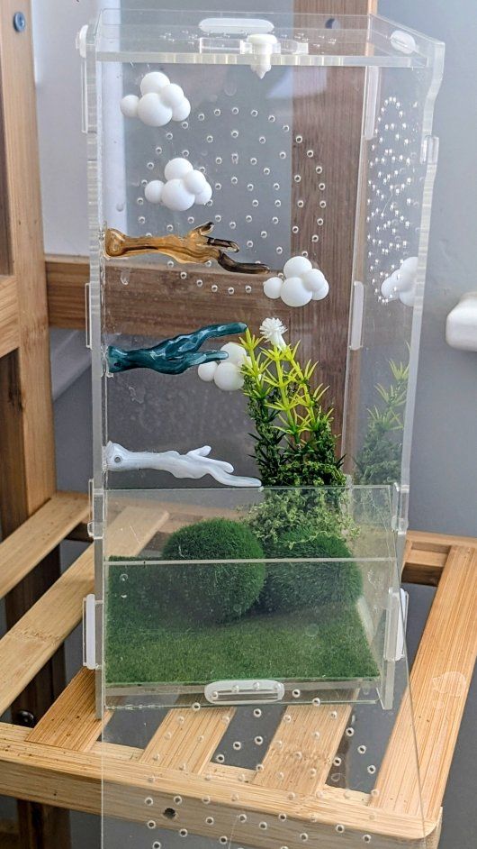 Jumping spider enclosure and accessories. No spider
