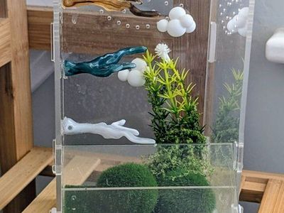 Jumping spider enclosure and accessories. No spider