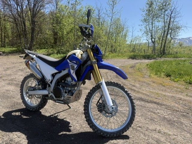 2014 Yamaha WR250R