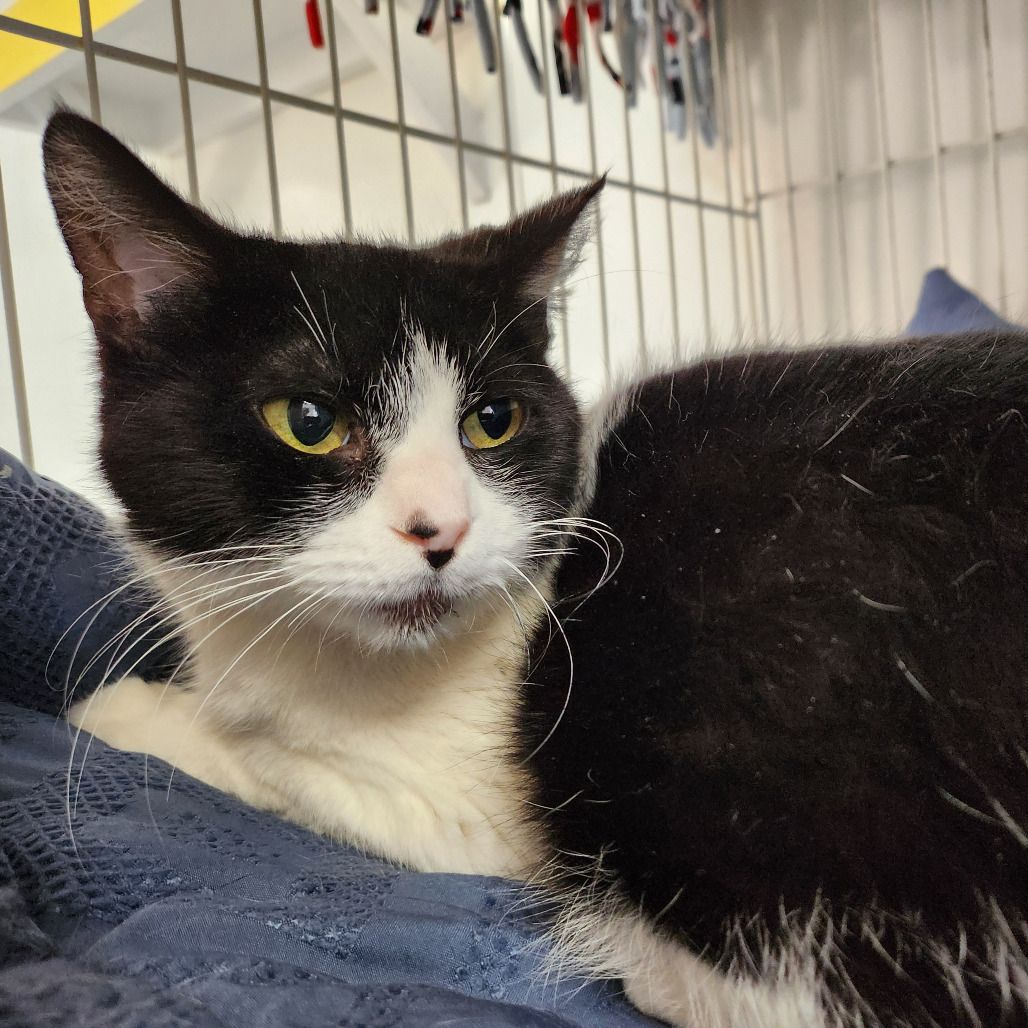 Hello my name is Barnacle