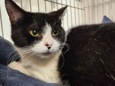 Hello my name is Barnacle