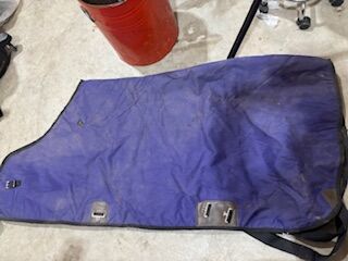 Horse Blanket