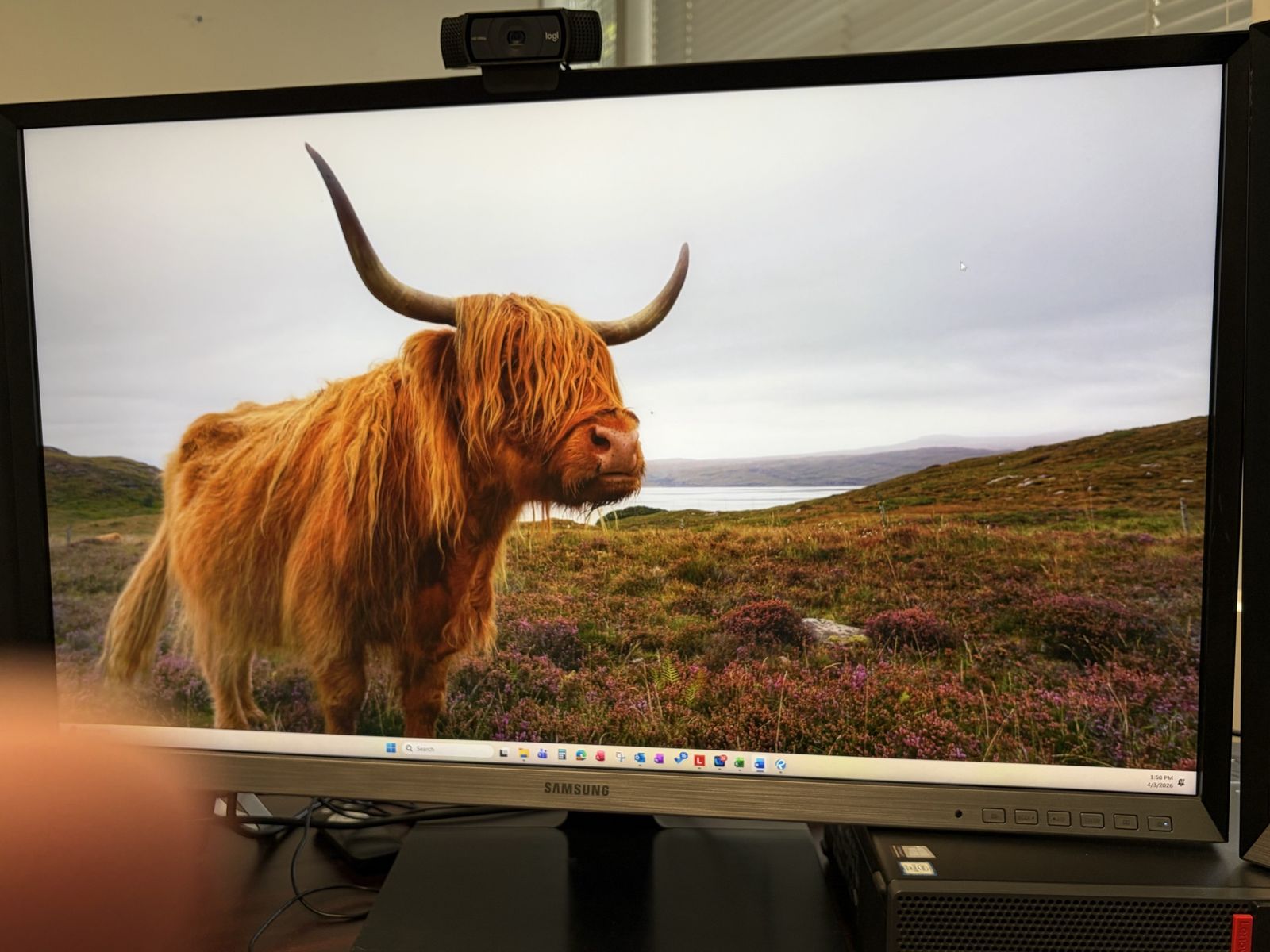 Samsung 32" Computer Monitors.