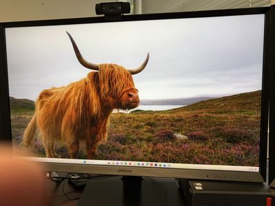 Samsung 32" Computer Monitors.
