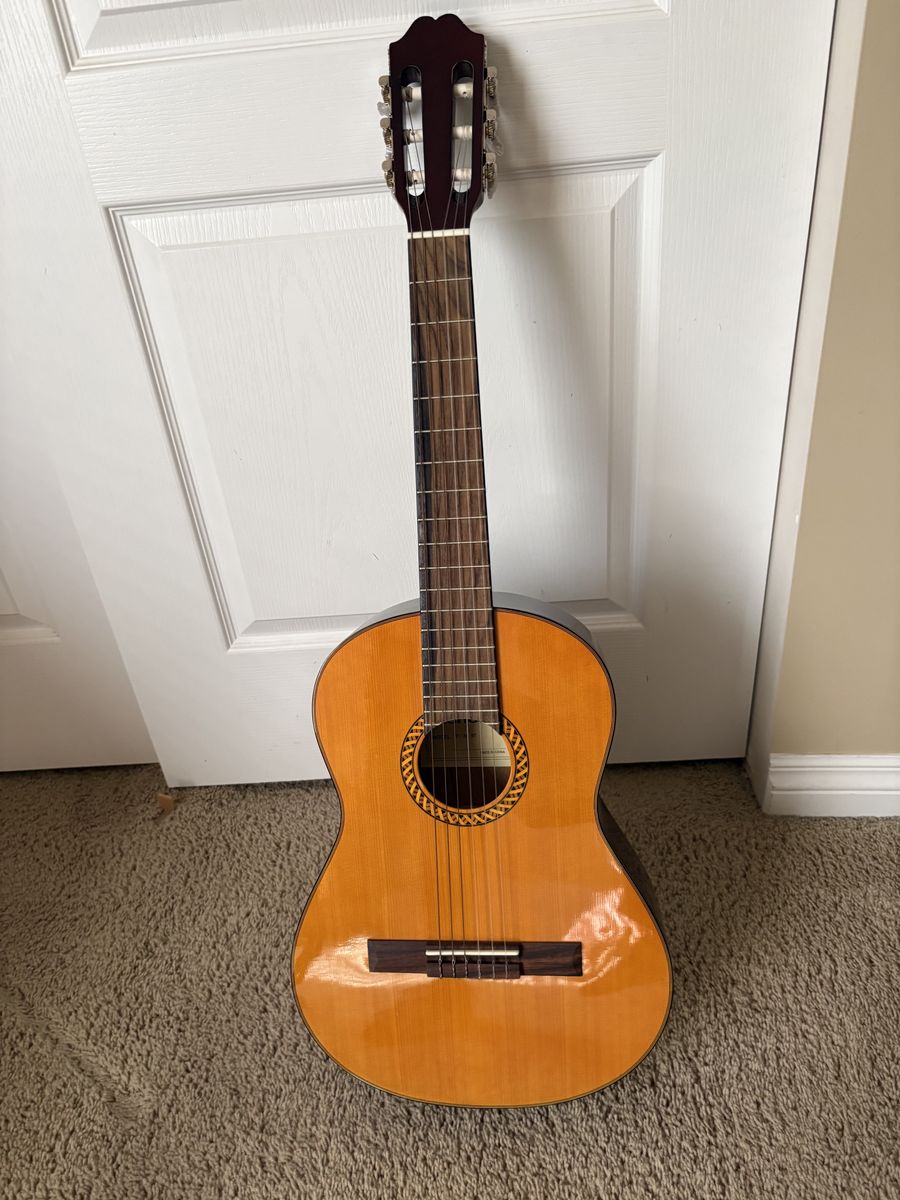 Tanara TC-34. guitar. with gig bag