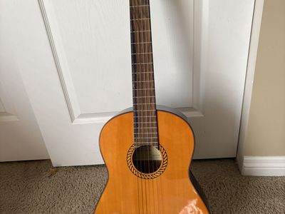 Tanara TC-34. guitar. with gig bag