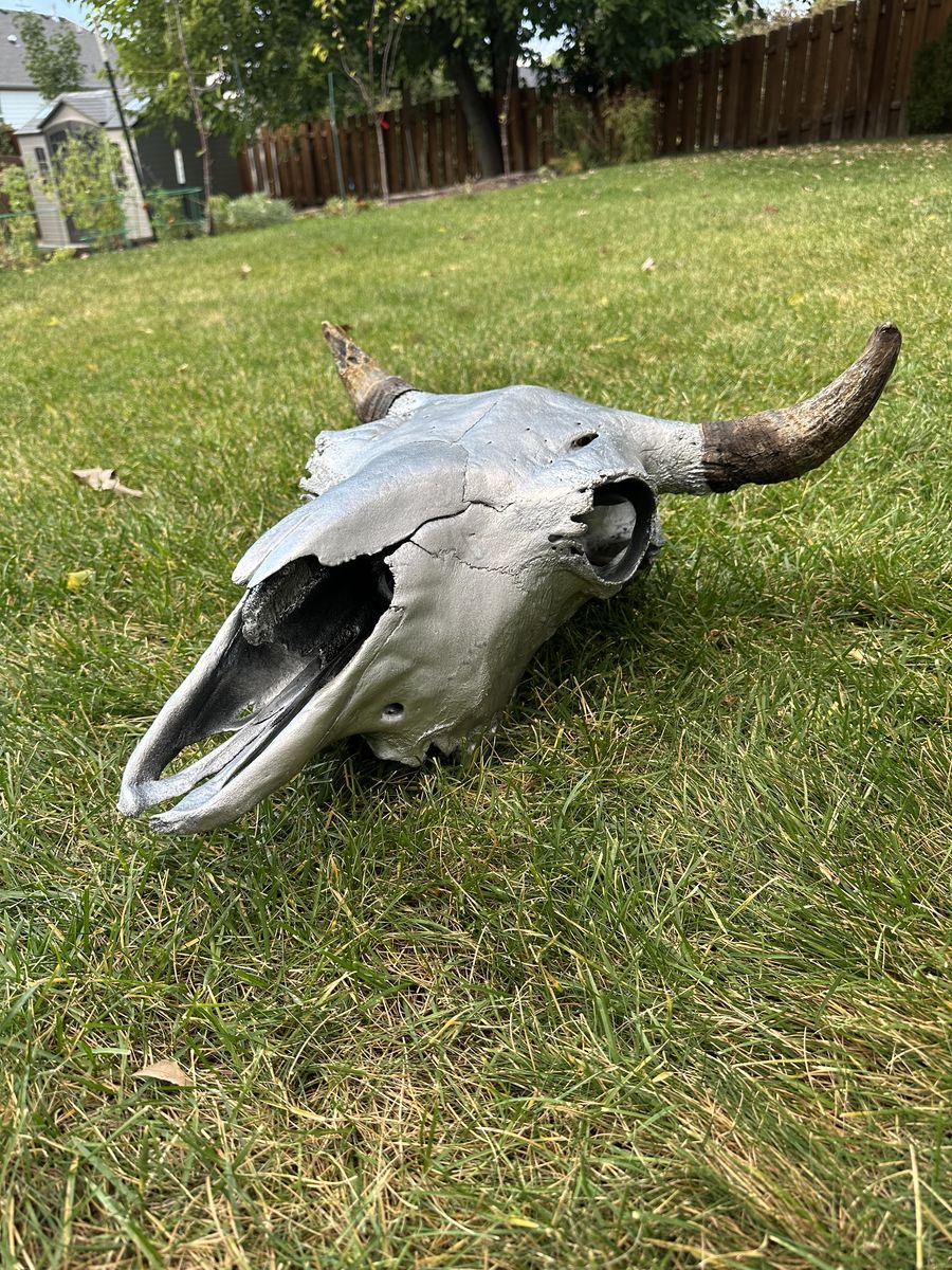 Buffalo Bison Skull For Cabin Or Man Cave