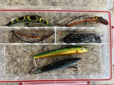 Large lake trout trolling lures box all $100