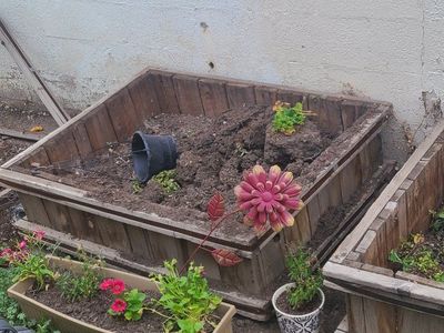 used planter boxes