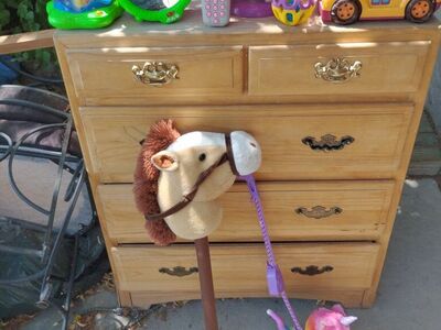 $10 each Interactive Toys